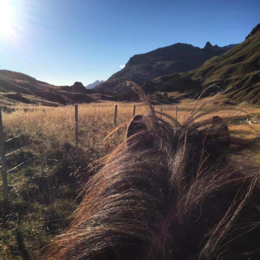 Flo Lofoten Nature Escape Valberg Dış mekan fotoğraf
