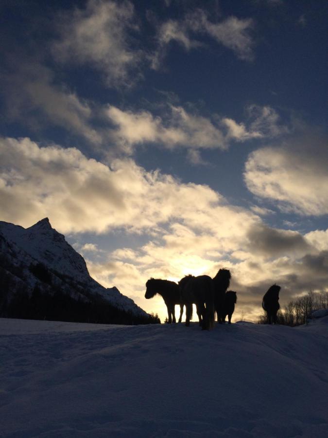 Flo Lofoten Nature Escape Valberg Dış mekan fotoğraf